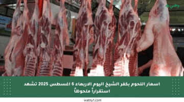 أسعار اللحوم بكفر الشيخ اليوم الأربعاء 6 أغسطس 2025 تشهد استقراراً ملحوظاً